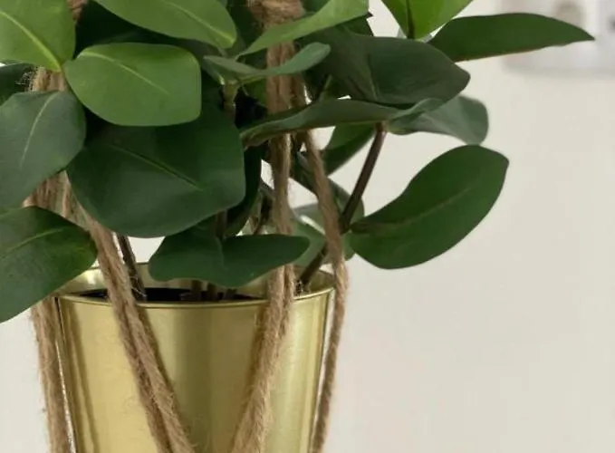 Nayjay Staycation Appartamento *