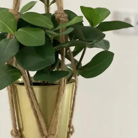 Nayjay Staycation Apartman *